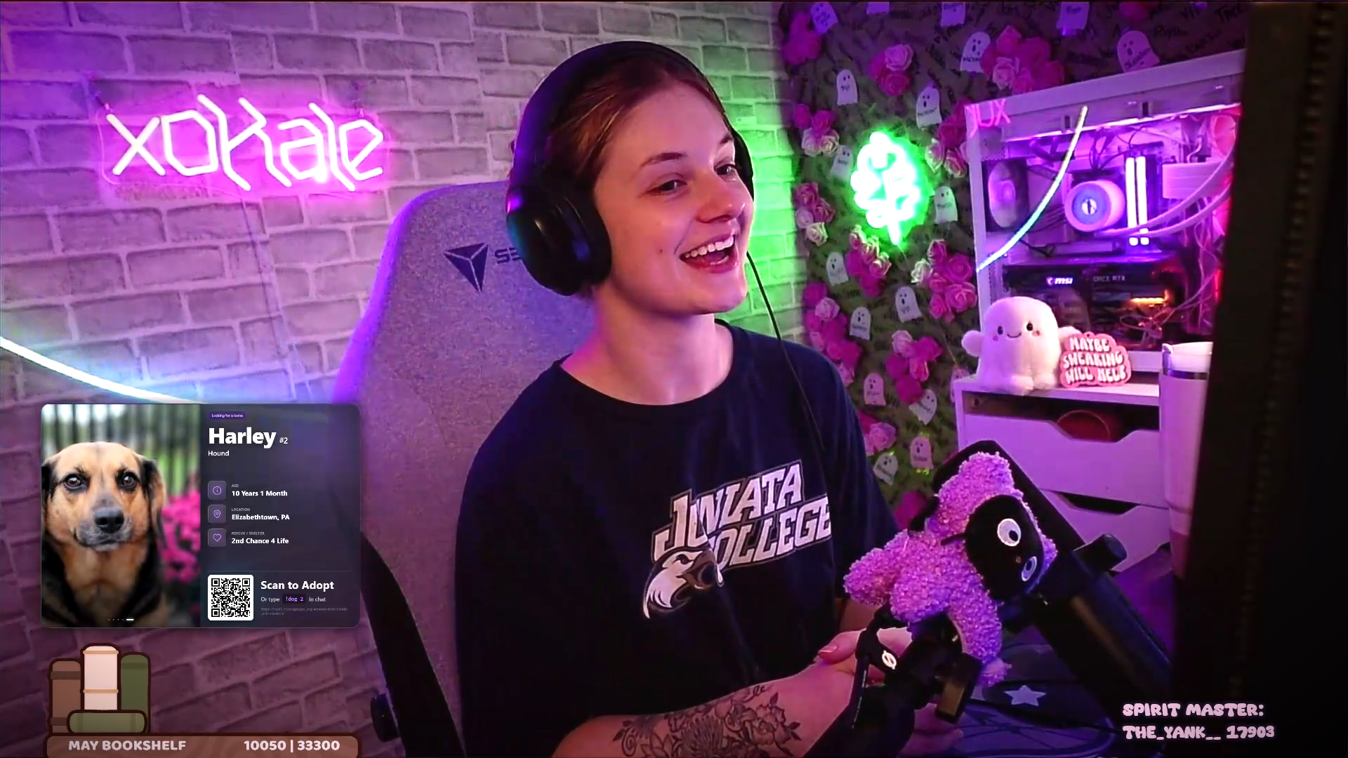 Stream Overlay